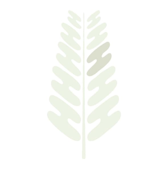 Häussermann Stauden+Gehölze GmbH logo