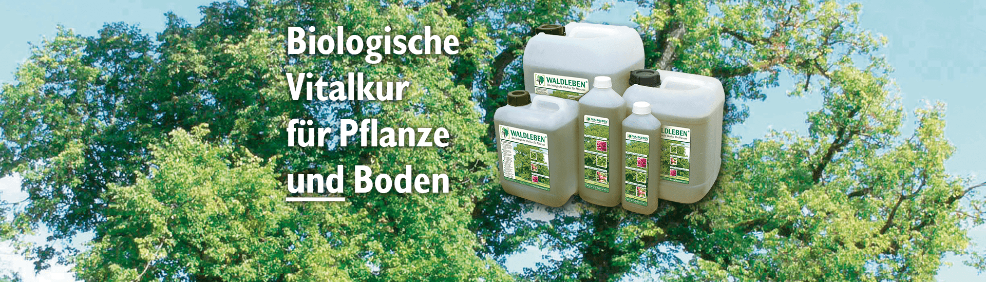 Waldleben eGbR