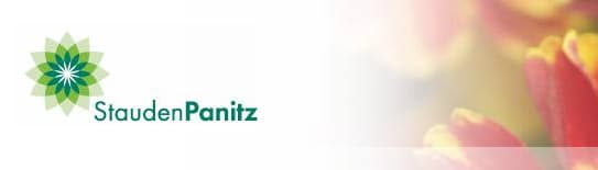 Stauden Panitz GmbH & Co. KG