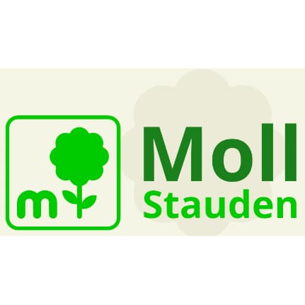Moll Stauden GmbH logo